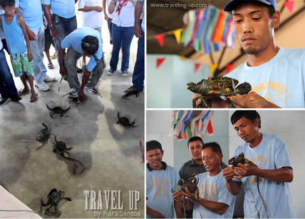 alimango festival samar crab tying game