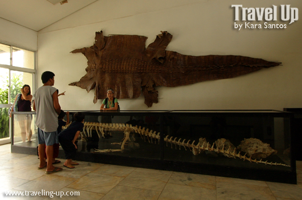 puerto princesa crocodile farm