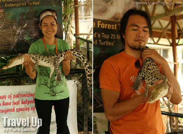 puerto princesa crocodiles