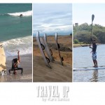 Board to be Wild