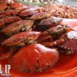 On the Road to Ilocos Norte: Buguey and Claveria