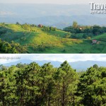 A Taste of Baguio an Hour Away